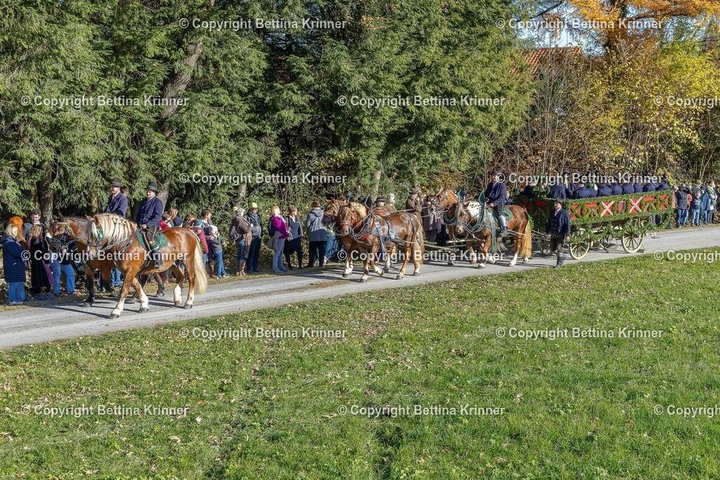 LBT25-601 | foto-bettina-krinner - Realisiert mit Pictrs.com