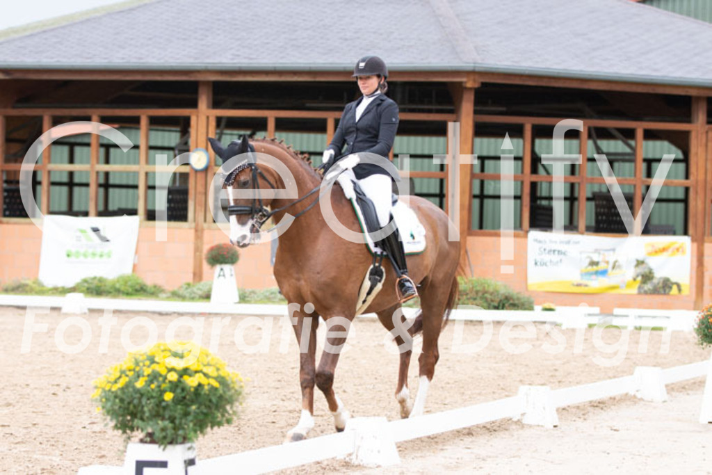 IMG_7212 | Creatify Fotografie