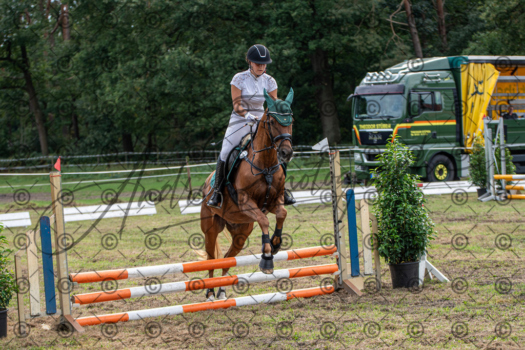 SHT_7529 | andre_photographic