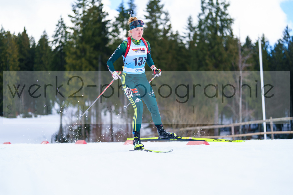 FESA Alpencup / DP Notschrei | Deutschland Pokal Finale im Schwarzwald NORDIC-CENTER Notschrei am 7. - 8. Februar 2026