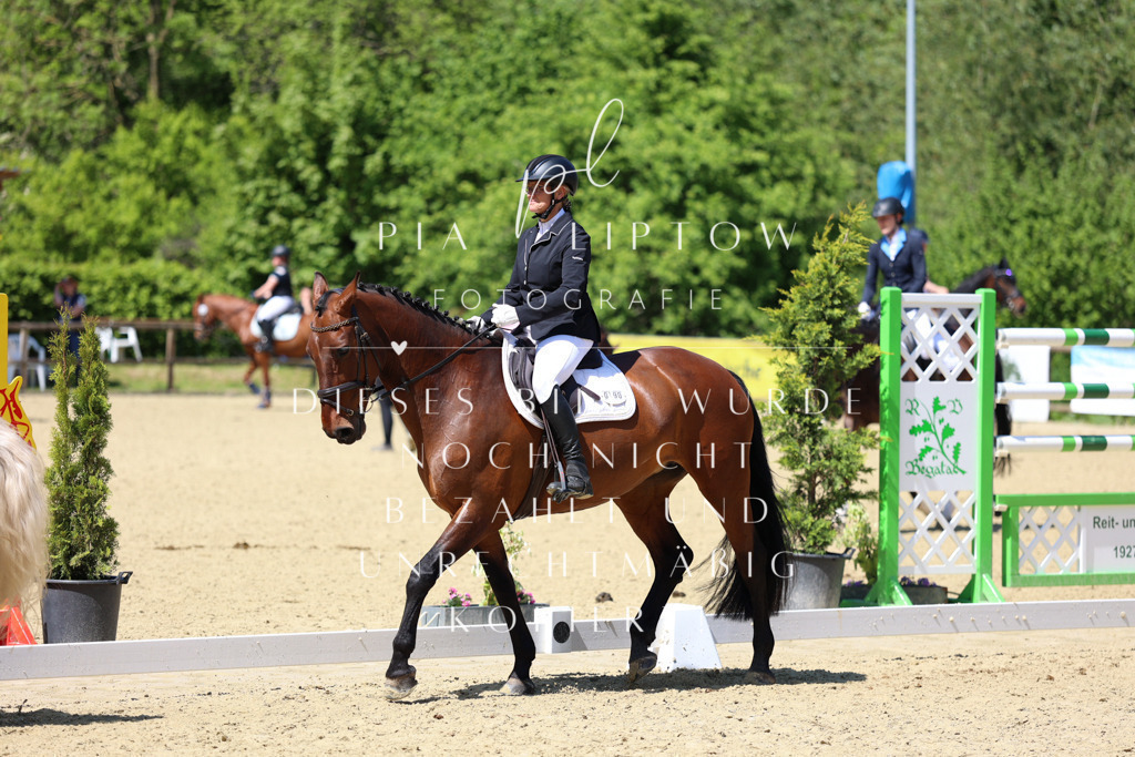 IMGS3045 | pl-fotografie