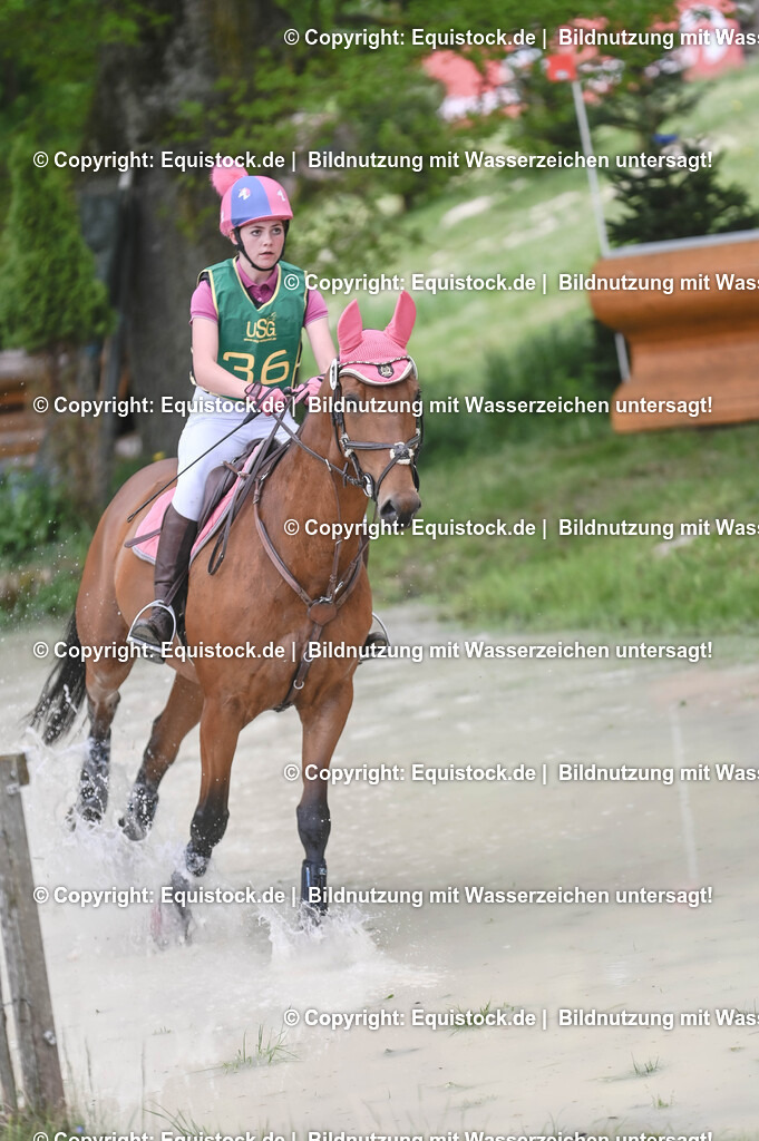 20250517_CCI1_Gelände_0421 | Foto: Thomas Hartig