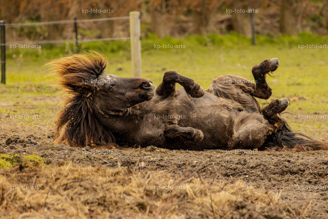 IMG_7804 | kp-photogasse.de - Realisiert mit Pictrs.com