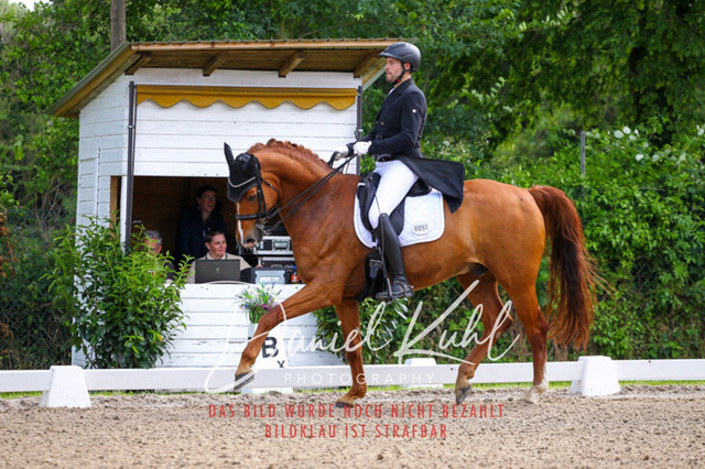 DKP41284 | Turnierfotos kaufen im Webshop von Daniel Kuhl Photography – entdecke professionelle Reitsportfotos aus Turnieren & Events. Hochwertige Turnierbilder online bestellen & sichern. Jetzt Fotos von Reitsportturnieren kaufen!