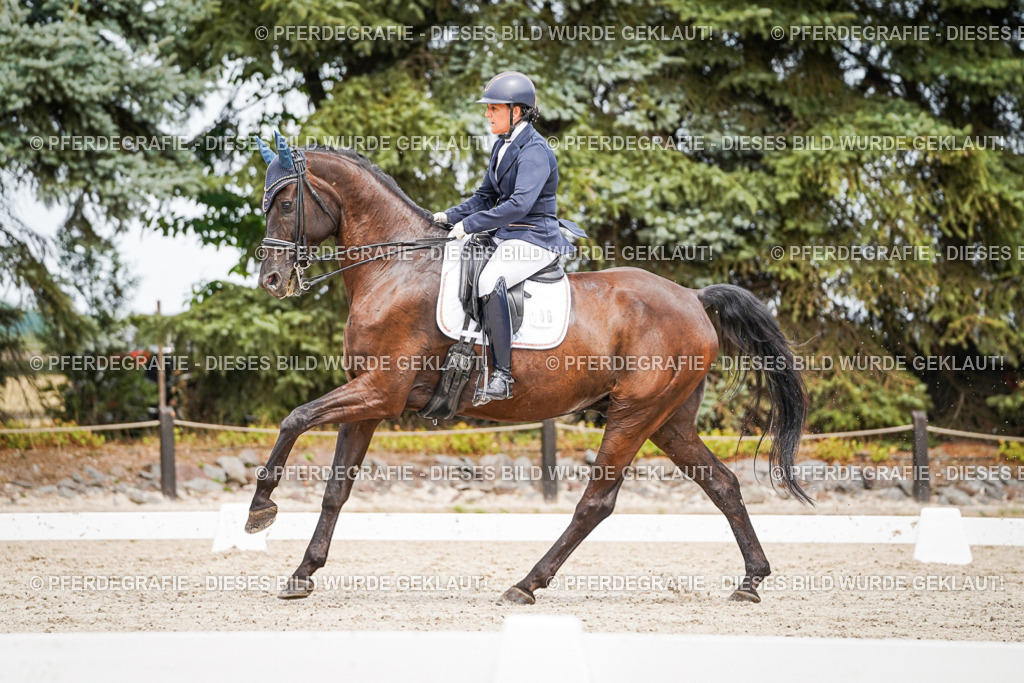 DSC05419 | Pferdegrafie