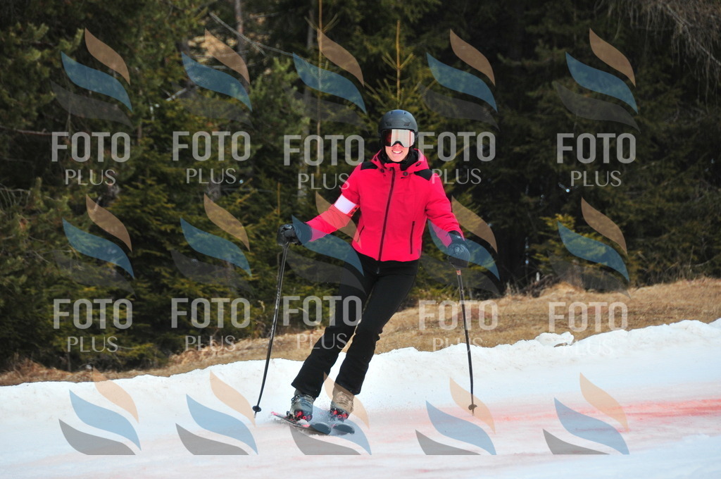C0956 | holidayphoto