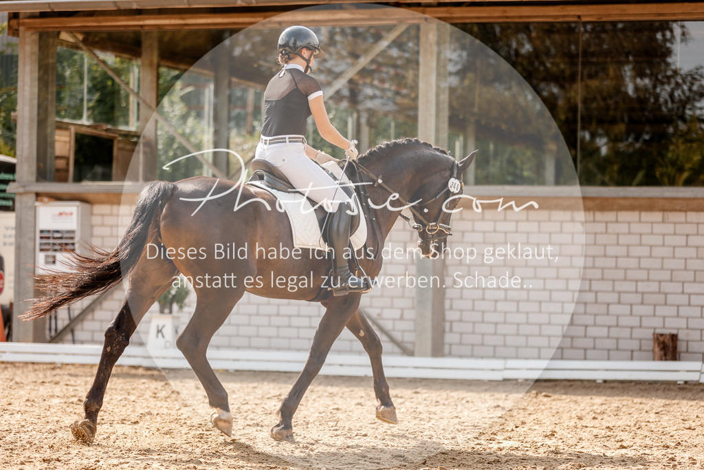 3I6A4018 | Stimmungsvolle Portraits und Reitsportfotografie im Ruhrgebiet und im Münsterland.

Pferdefotografie, Hundefotografie, Tierfotografie, Reportagen, Portraits von Tier und Mensch, Turnierfotografie in Bochum, Recklinghausen, Marl, Haltern am See, Dülmen.. - Realisiert mit Pictrs.com