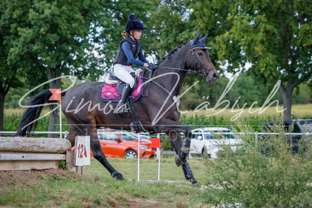 20250905-_3LI1926 | Tierfotografie Pferde, Hunde, Katzen, Haustiere.
Turnierfotografie Reitturniere, Reiten, Springreiten, Dressur in Hanau, dem Main-Kinzig-Kreis und dem Rhein-Main- Gebiet um Frankfurt