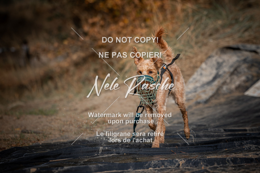 nelerasche_Creepy2025_So1200-Ende_448 | nelerasche