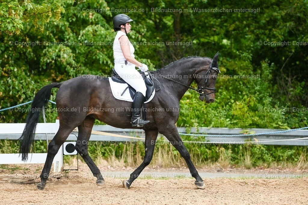 20230715_05_Dressurprüfung Kl.A++_0174 | equistock