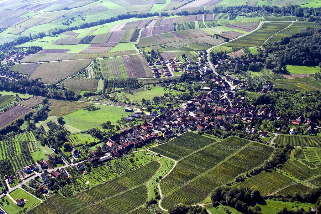 Aerial view: Near Wissembourg in Rott in the state Bas-Rhin, France.Photo: IMG_4318.jpg taken on 10/08/2006 by Werner Riehm/FLY-FOTO.comResolution of the original: 3456 x 2304 px