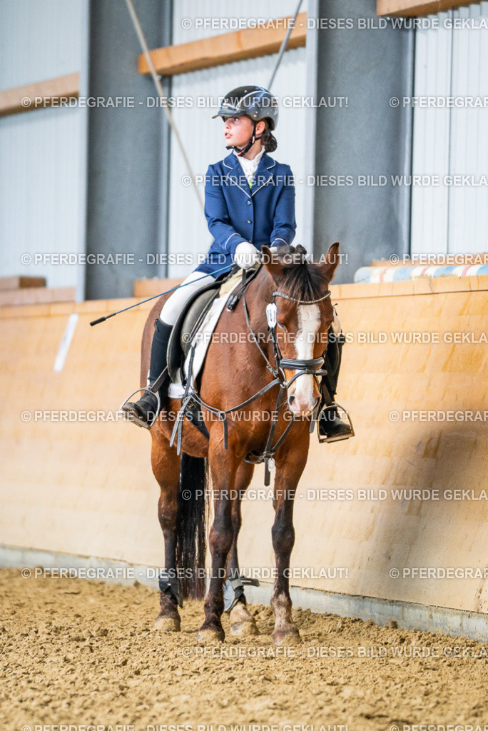 DSC02722 | Pferdegrafie