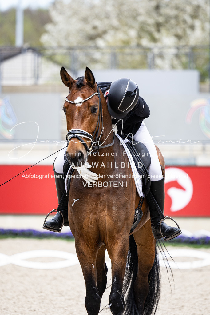 126A6353 | jasminmetznerfotografie