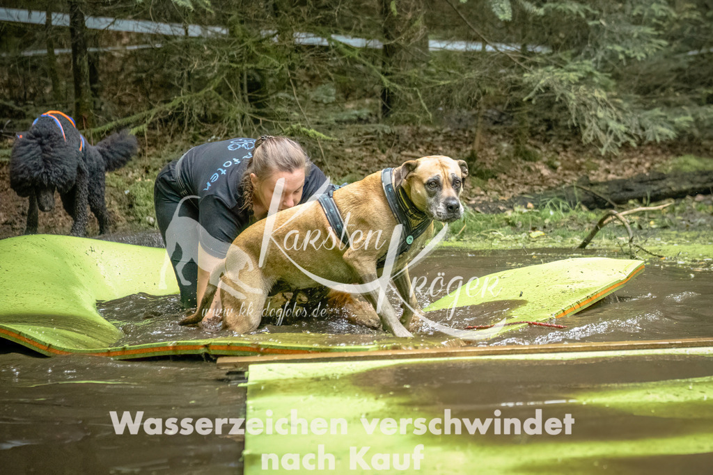 1429_ZZ92600-Bearbeitet | kk-dogfotos