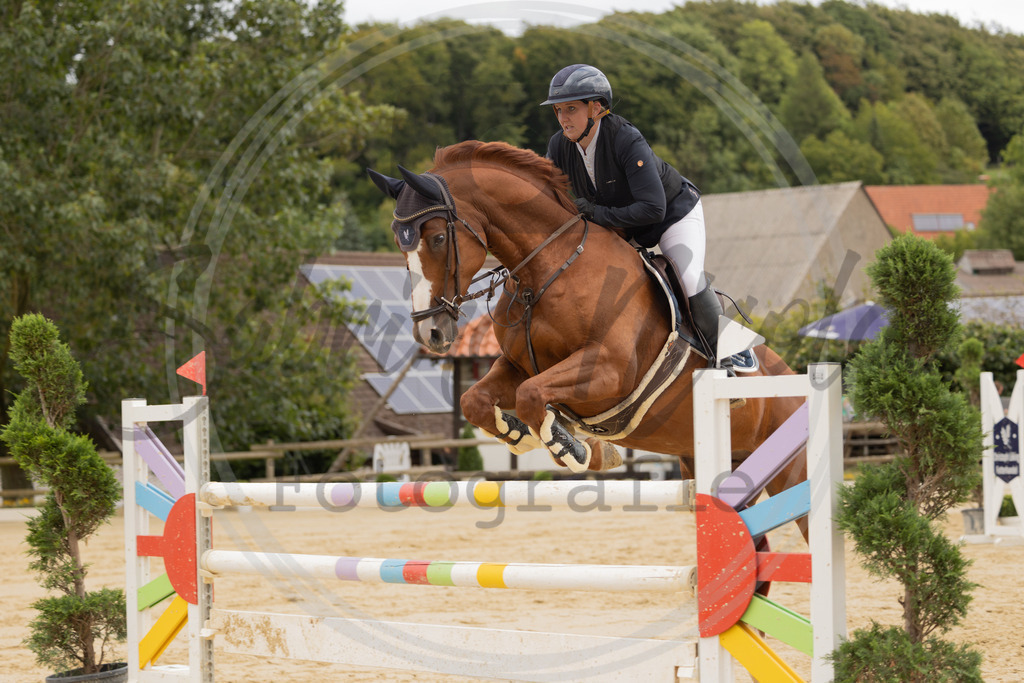 994A9434 | sabrinanicolaifotografie - Realisiert mit Pictrs.com