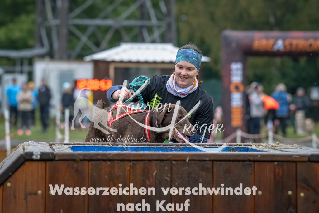 1202--2 | kk-dogfotos