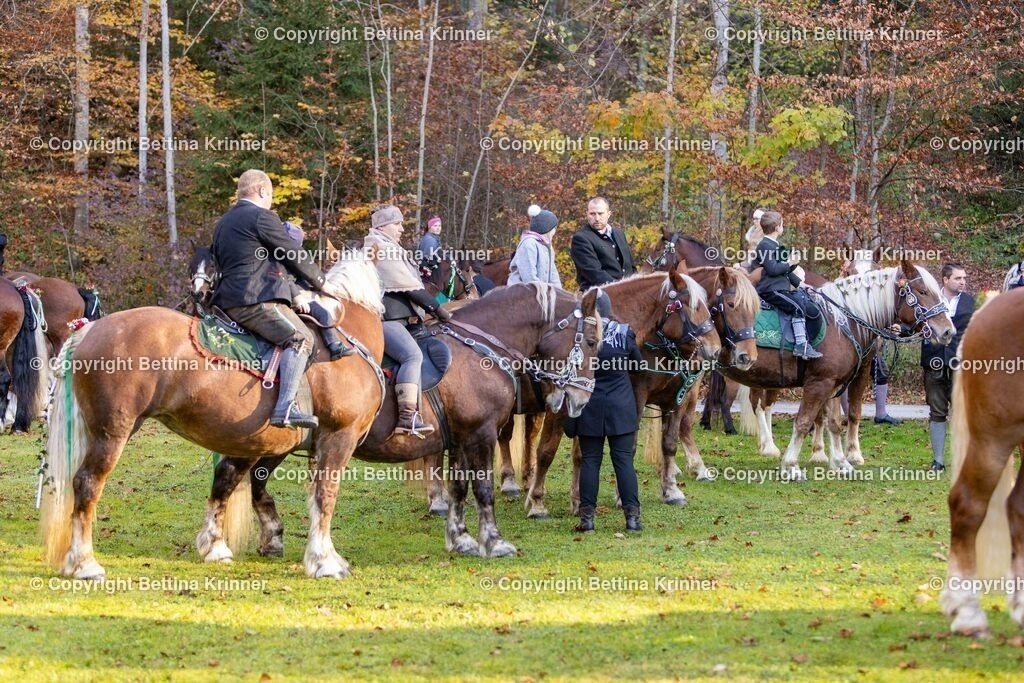 LL24-250 | foto-bettina-krinner - Realisiert mit Pictrs.com