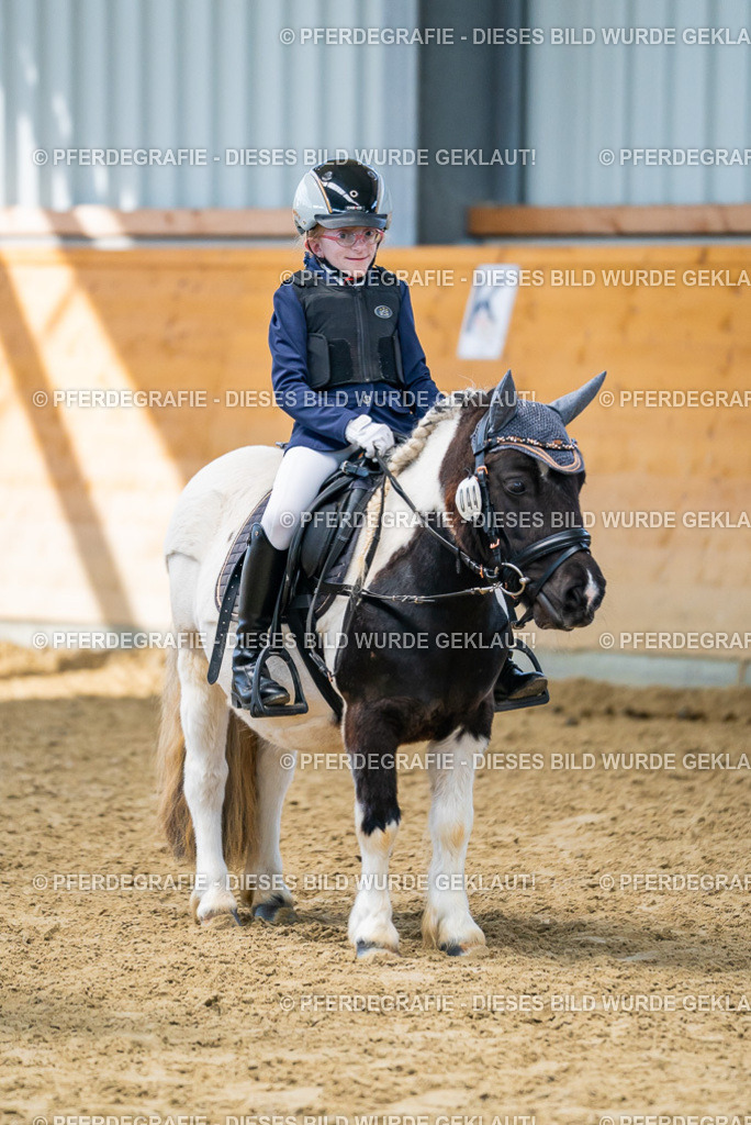 DSC01433 | Pferdegrafie