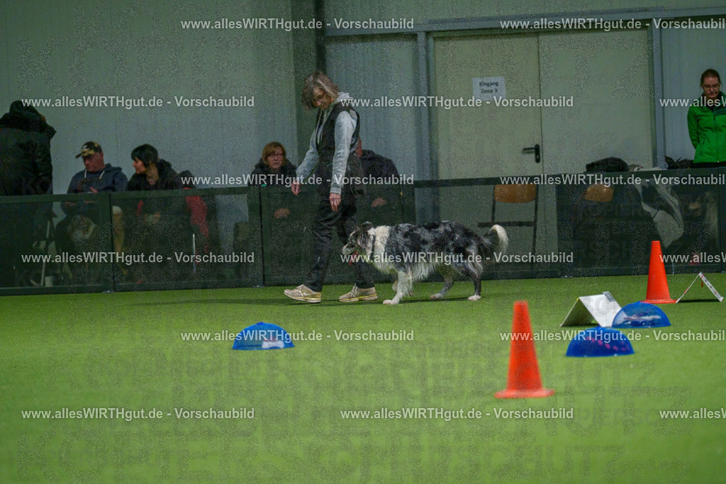 7R504453 | Professionelle Tierfotografie in Mönchengladbach von Daniel Wirth (allesWIRTHgut). Liebevolle & natürliche Bilder von Hunden & Katzen für unvergessliche Erinnerungen.