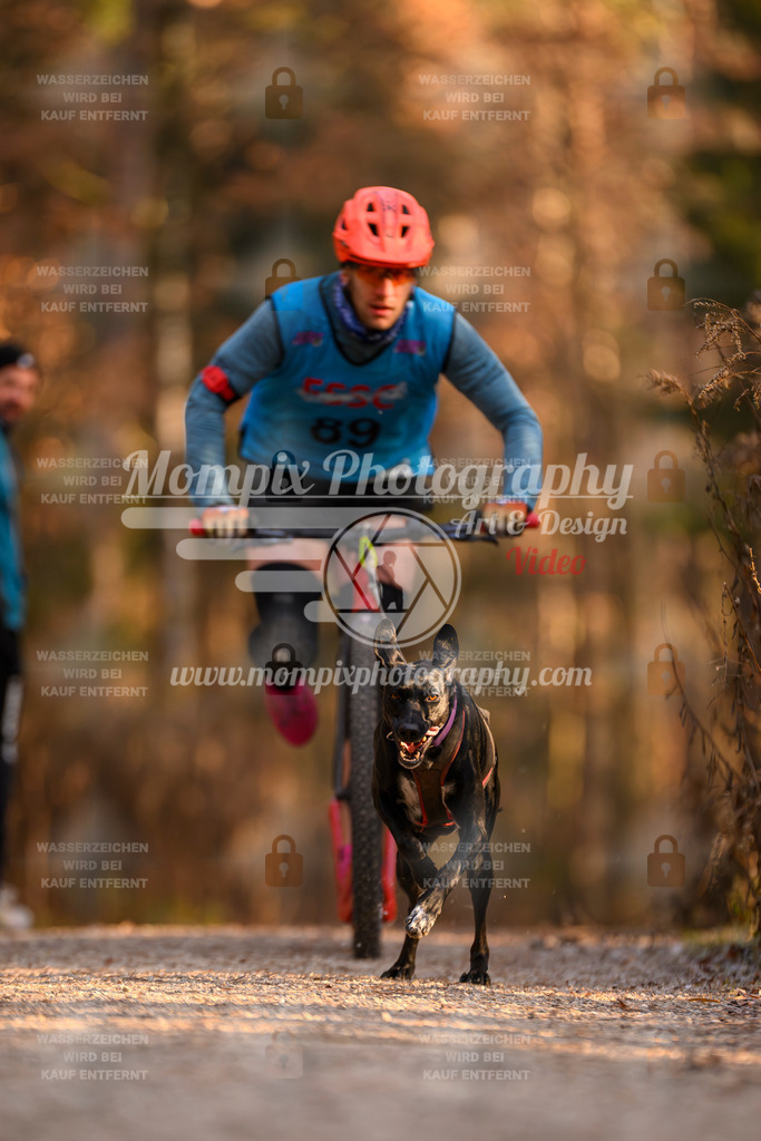 MompixPhotography_DM_AKDM_SO_2025_Scooter-180 | PayLife