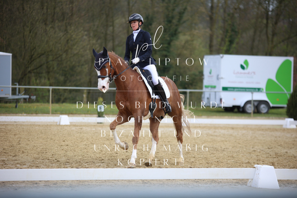 IMGT6903 | pl-fotografie