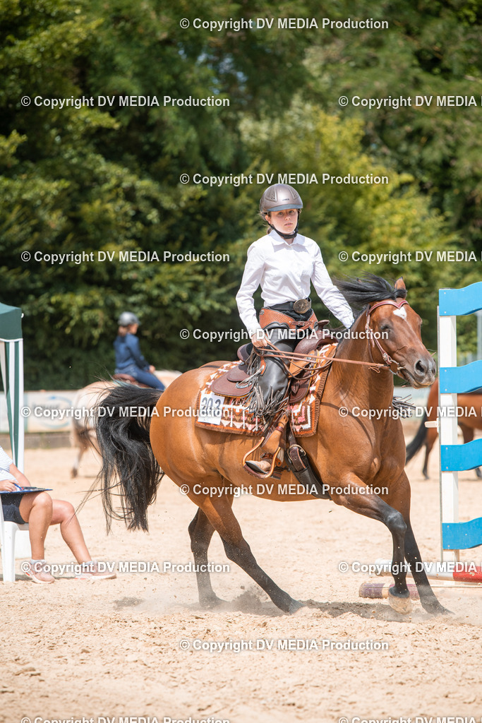 EWP_6647 | dv-media-shop - Realisiert mit Pictrs.com