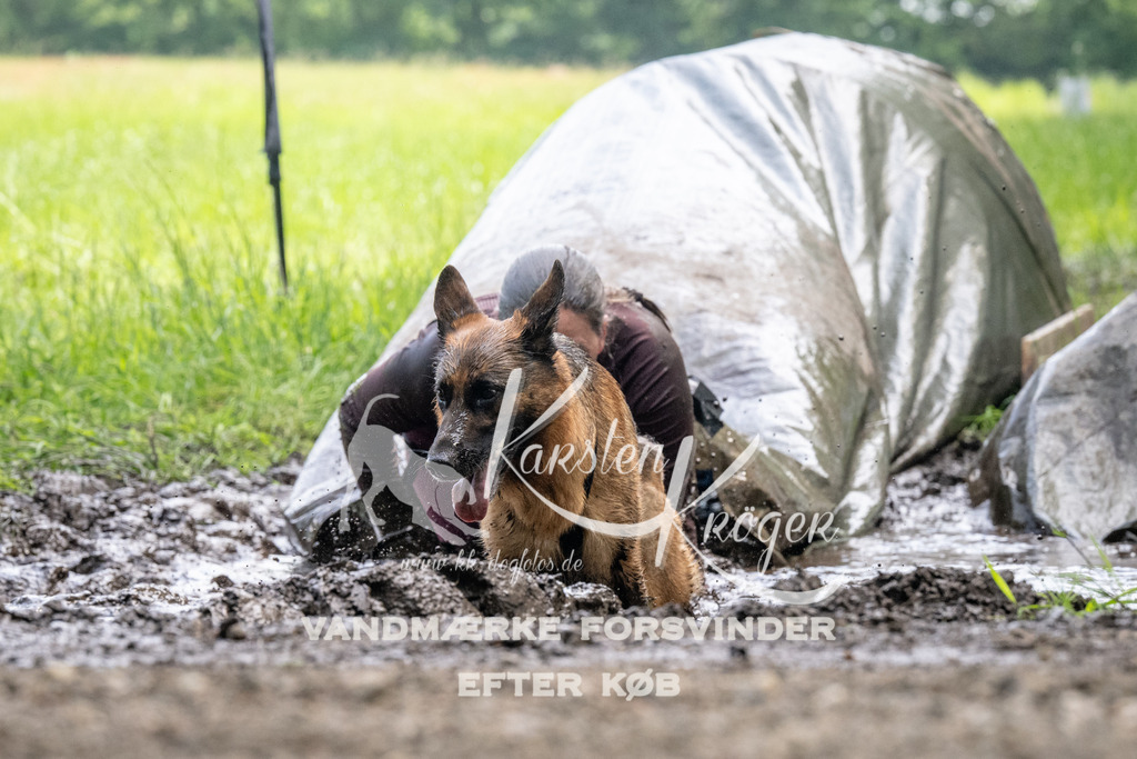 1141_ZZ93854 | kk-dogfotos