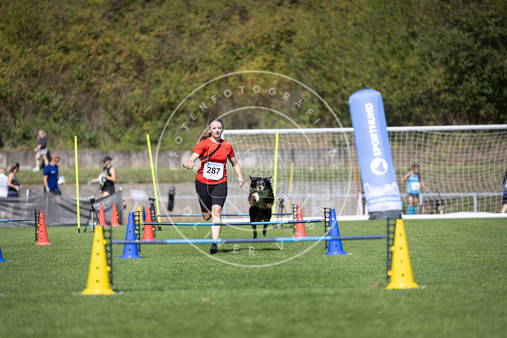 Pfotenfotografie_DV3A7267 | Hundefotografie, Tierfotograf, Pfotenfotografie, Fotoshooting Hund, Hunde Portrait, Hundesport, Hundeportraits, Heideshooting, Hunde, Sportfotograf, Hundefotograf, Turnierhundsport, THS,  - Realisiert mit Pictrs.com