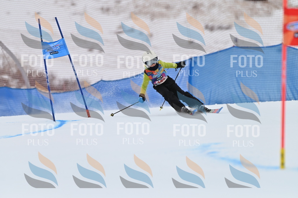 BGV_1801 | holidayphoto