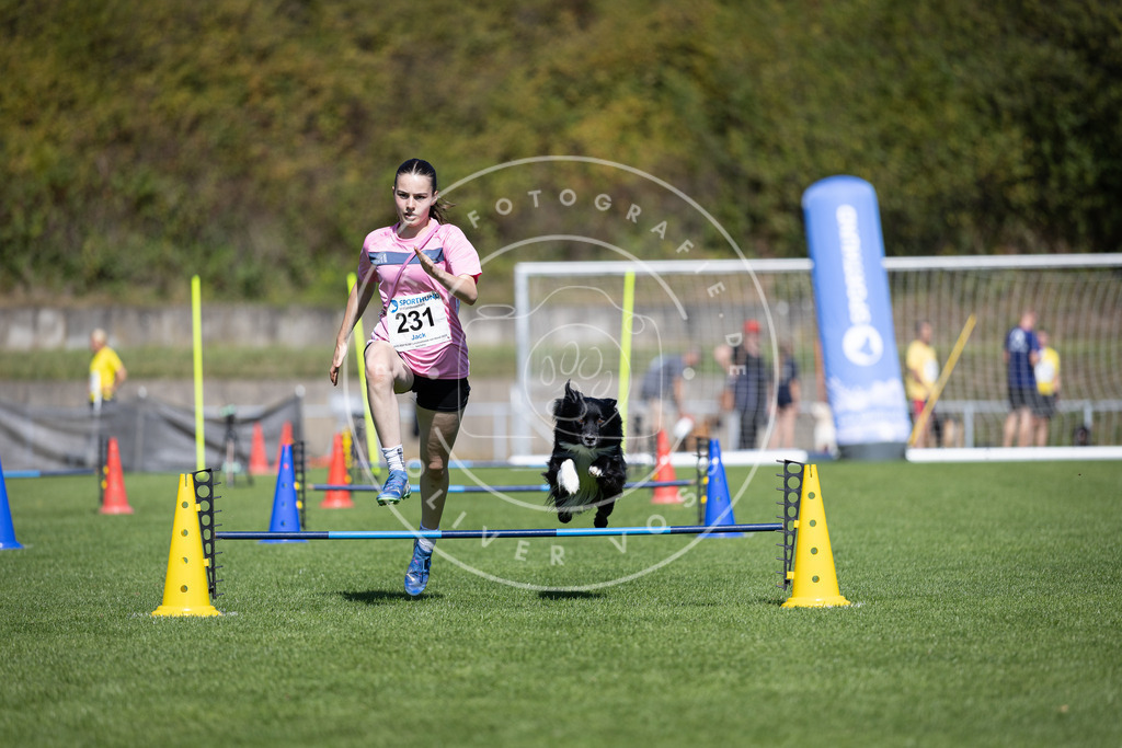 Pfotenfotografie_DV3A5701 | Hundefotografie, Tierfotograf, Pfotenfotografie, Fotoshooting Hund, Hunde Portrait, Hundesport, Hundeportraits, Heideshooting, Hunde, Sportfotograf, Hundefotograf, Turnierhundsport, THS,  - Realisiert mit Pictrs.com
