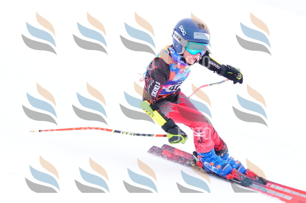 C4292 | holidayphoto