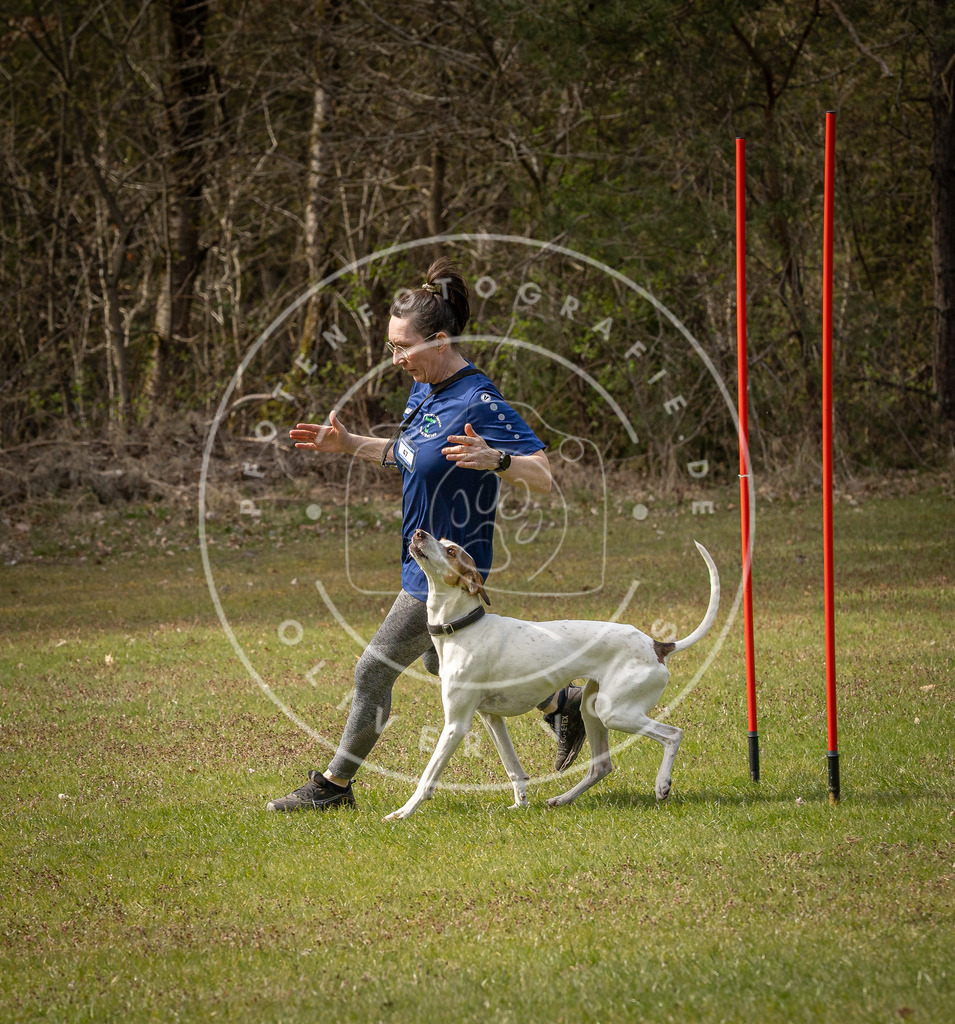 Pfotenfotografie_DV3A8125 | Hundefotografie, Tierfotograf, Pfotenfotografie, Fotoshooting Hund, Hunde Portrait, Hundesport, Hundeportraits, Heideshooting, Hunde, Sportfotograf, Hundefotograf, Turnierhundsport, THS,  - Realisiert mit Pictrs.com