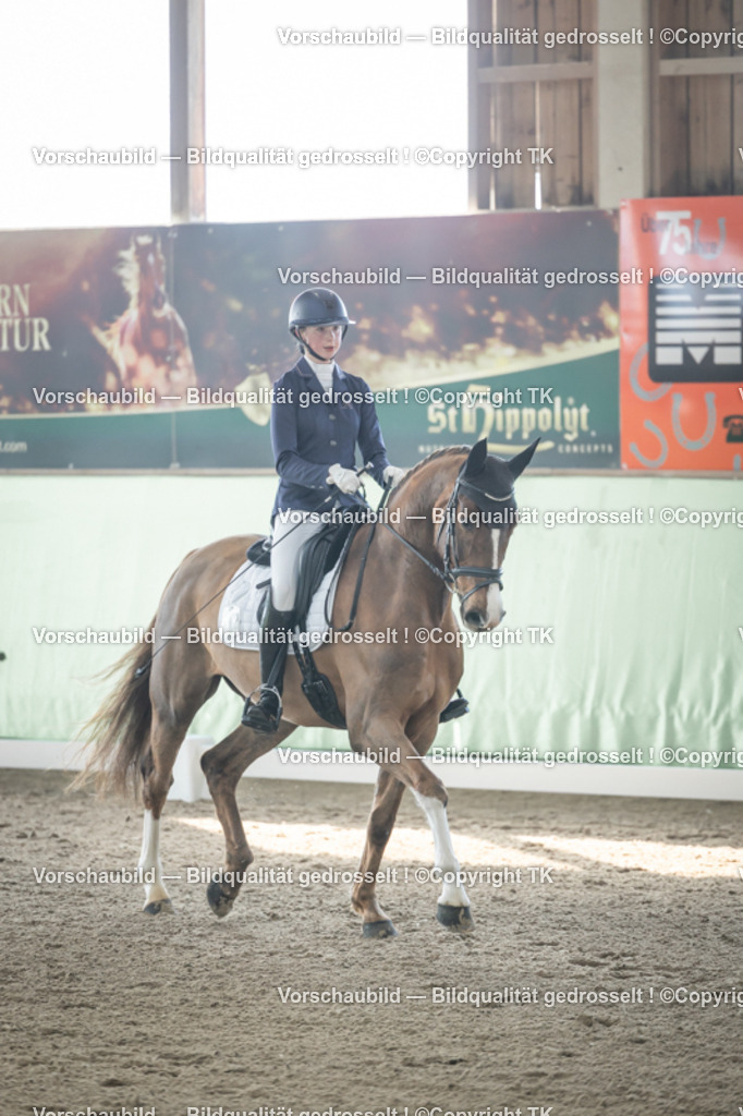 _D5A0587 | Emotionale Pferde- & People-Fotografie rund um Heidelberg, Leimen & Umgebung. Natürliche Fotos von Pferd, Mensch & Familie. Jetzt Termin sichern!