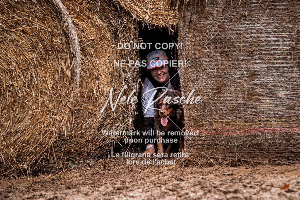 nelerasche_Hunsrück_So09-11_50 | nelerasche