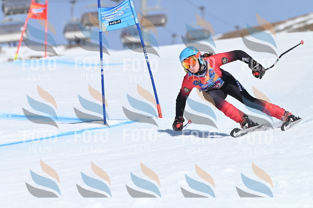 BGV_9811 | holidayphoto