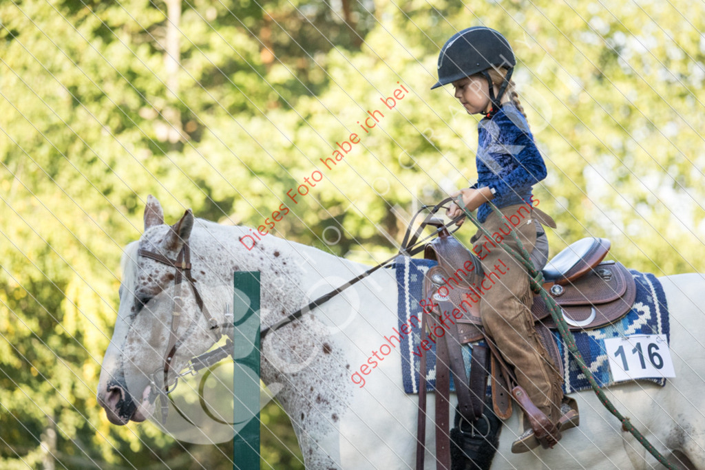 IMG_6203 | Sport-, Event- und Tierfotos in Profiqualität. Einfach auswählen, bestellen und herunterladen. Dein Moment – perfekt festgehalten.