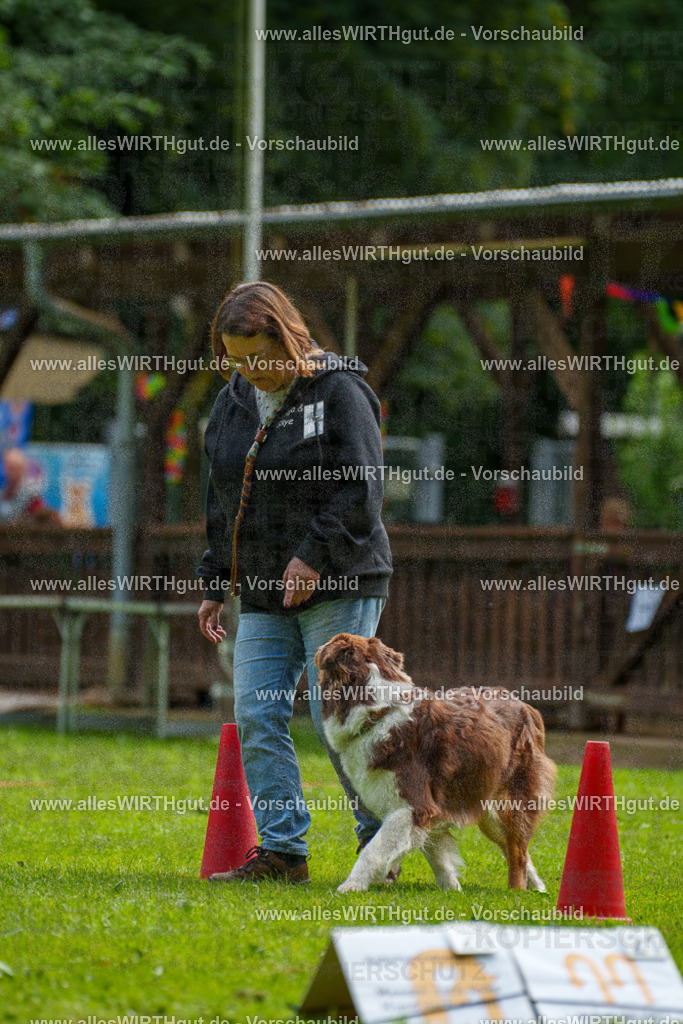 @allesWIRTHgut_Tierfotografie - www.allesWIRTHgut.de - 094621-7R507592 | Professionelle Tierfotografie in Mönchengladbach von Daniel Wirth (allesWIRTHgut). Liebevolle & natürliche Bilder von Hunden & Katzen für unvergessliche Erinnerungen.