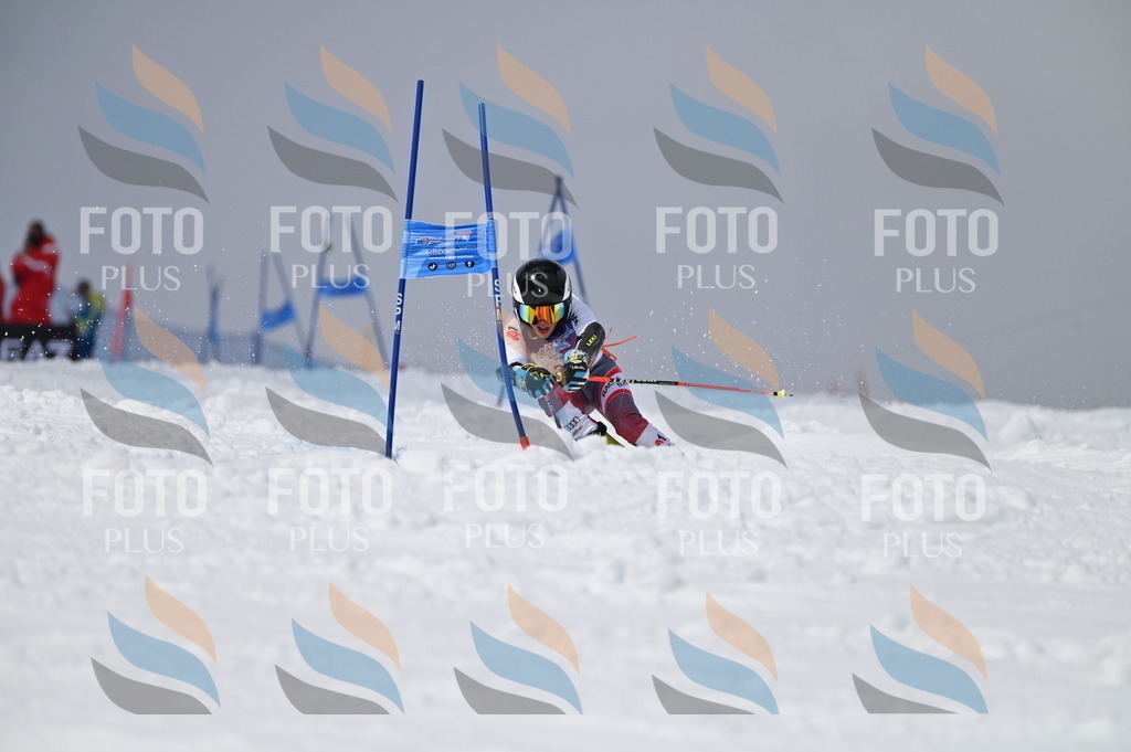 AGV_8026 | holidayphoto