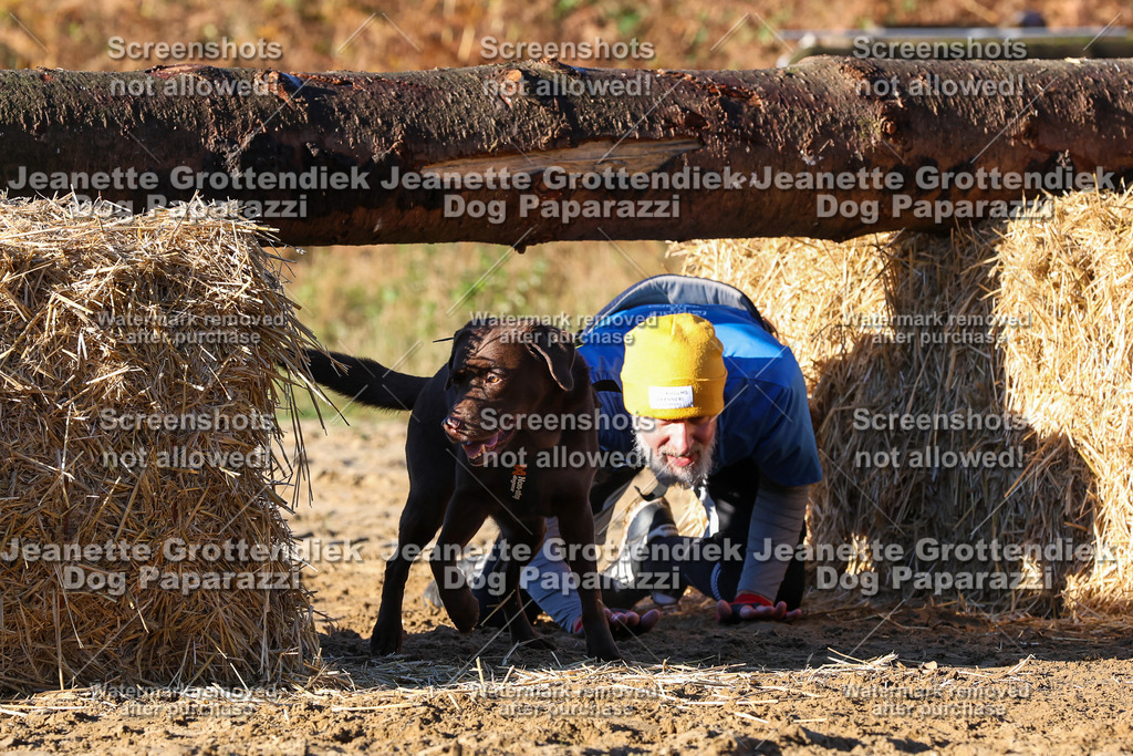 Dog Paparazzi - Strongdog 10-25-1302 | Dog Paparazzi Jeanette Grottendiek Fotografie & Videografie - Realisiert mit Pictrs.com