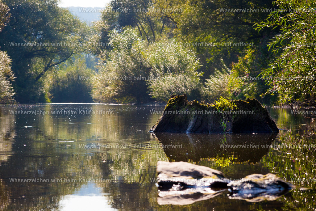 Türöffner | Die Botschaft zum Bild lautet: Uraltes Wissen, uralte Weisheit. Alles liegt in dir bereit. Dieses uralte Wissen, diese Verbindung zum Universum, zur Natur, liegt in deinen Genen. Erinnere dich daran. In diesem Bild sind Schlüssel für Türen zu deinem eigenen geheimen Wissen. Erlaube dir, dass diese Schlösser aufgeschlossen werden.