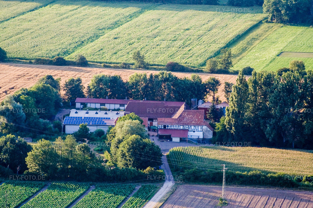 Luftbild: am Erlenbach, Leistenmühle in Kandel im Bundesland Rheinland-Pfalz in Deutschland. Foto: IMG_11812.jpg vom 25.07.2008 durch Werner Riehm/FLY-FOTO.de