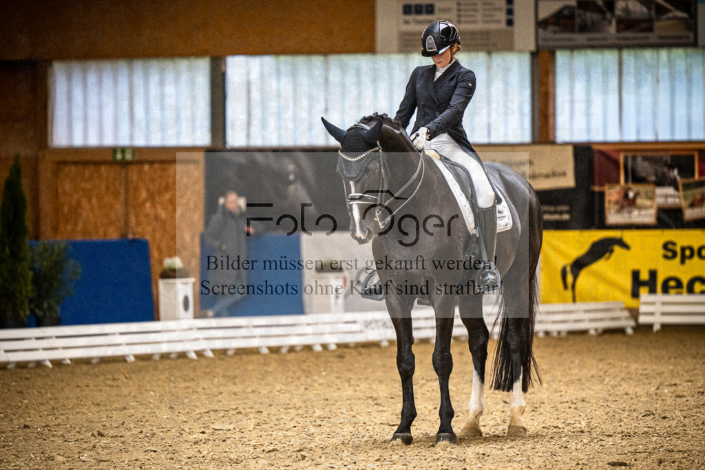 DOS_0659 | Entdecke hochwertige Reitturnierfotos von Foto Oger. Professionell, emotional und authentisch – jetzt Lieblingsmomente im Shop bestellen.Deutschlandweite Turnierfotografie. - Realisiert mit Pictrs.com
