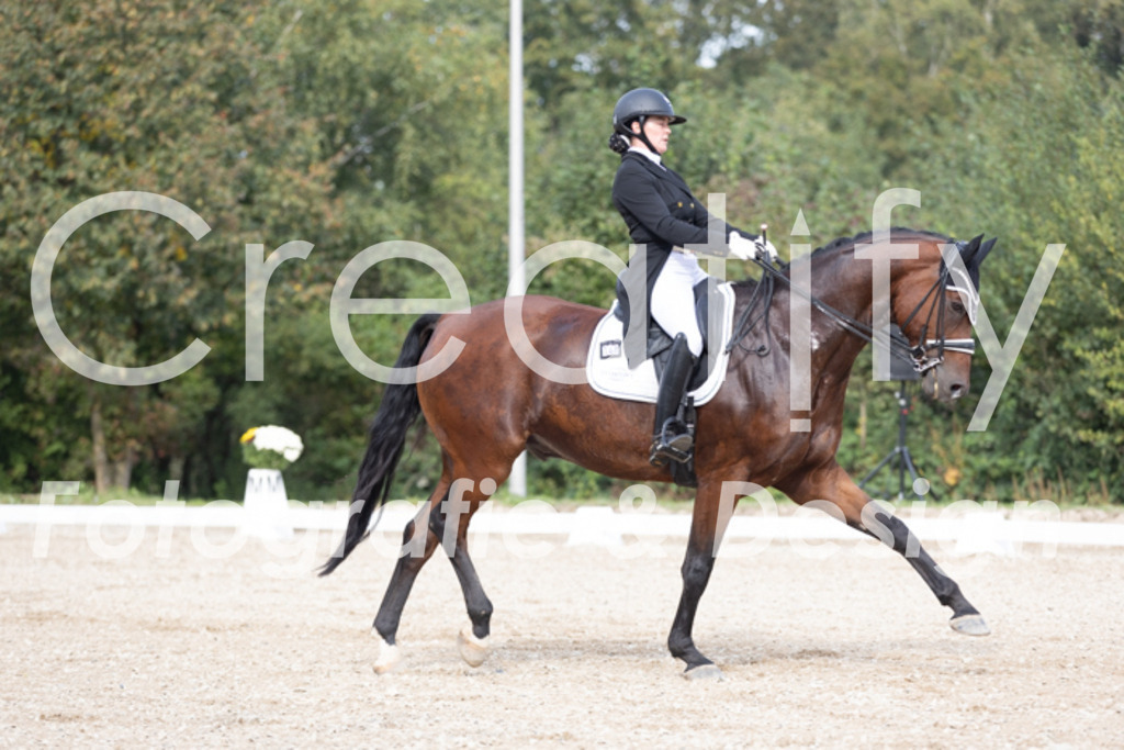 IMG_4585 | Creatify Fotografie