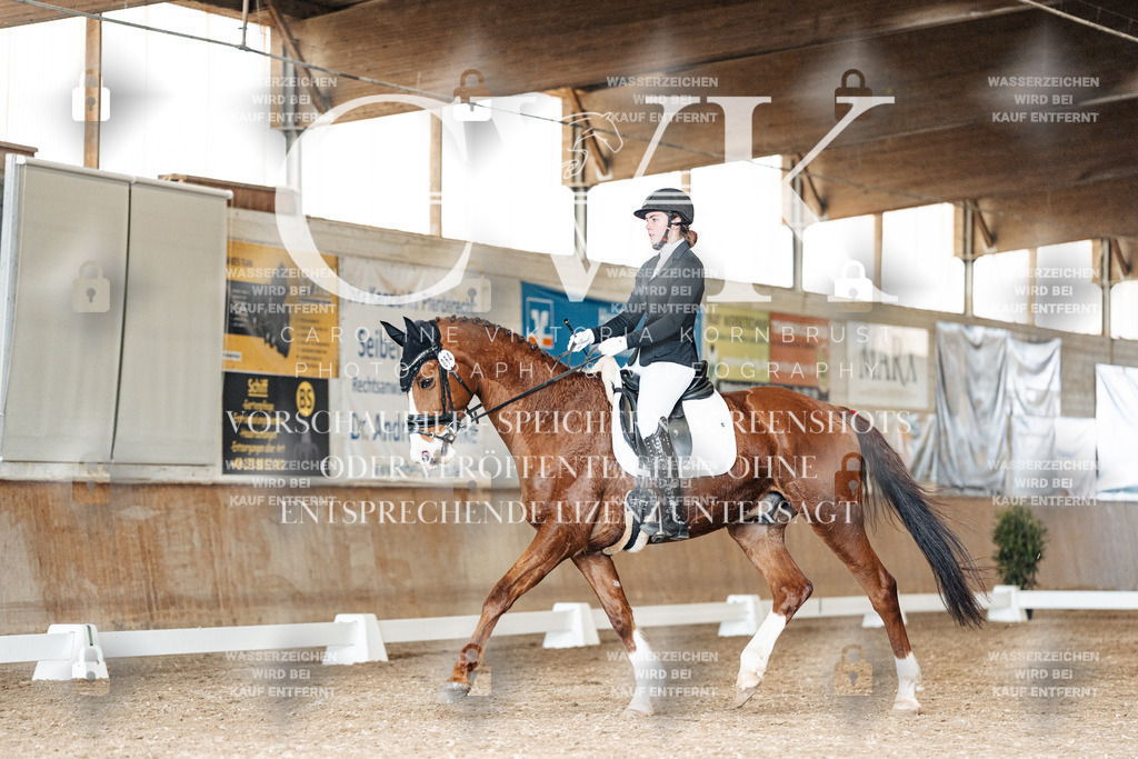 CK901724 | Turnierfotografie Pferdefotografie Trier Rheinland-Pfalz Pferdesport Reitsport Tierfotografie Sportfotografie Pferdevideo Pferdevideografie Equestrianvideography equestrianphotography  - Realisiert mit Pictrs.com