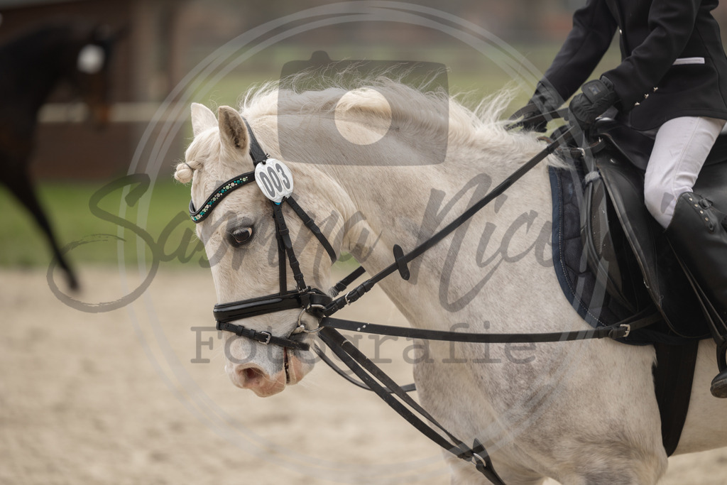 994A8387 | sabrinanicolaifotografie - Realisiert mit Pictrs.com