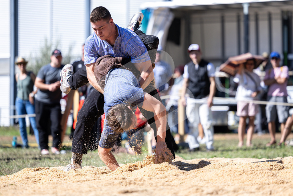 TESSINER2025_04_Gang_0721 | Die Schwinger des Schwyzer Kantonalen Schwingerverbandes: Fotos, die Dynamik und Leidenschaft festhalten, sowie emotionale Momente aus dem traditionellen Schwingsport zeigen. - Realisiert mit Pictrs.com