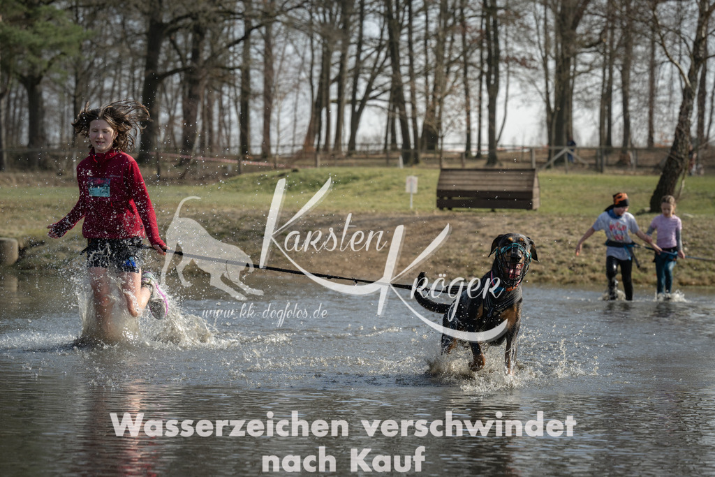 1323_ZZ96025 | kk-dogfotos