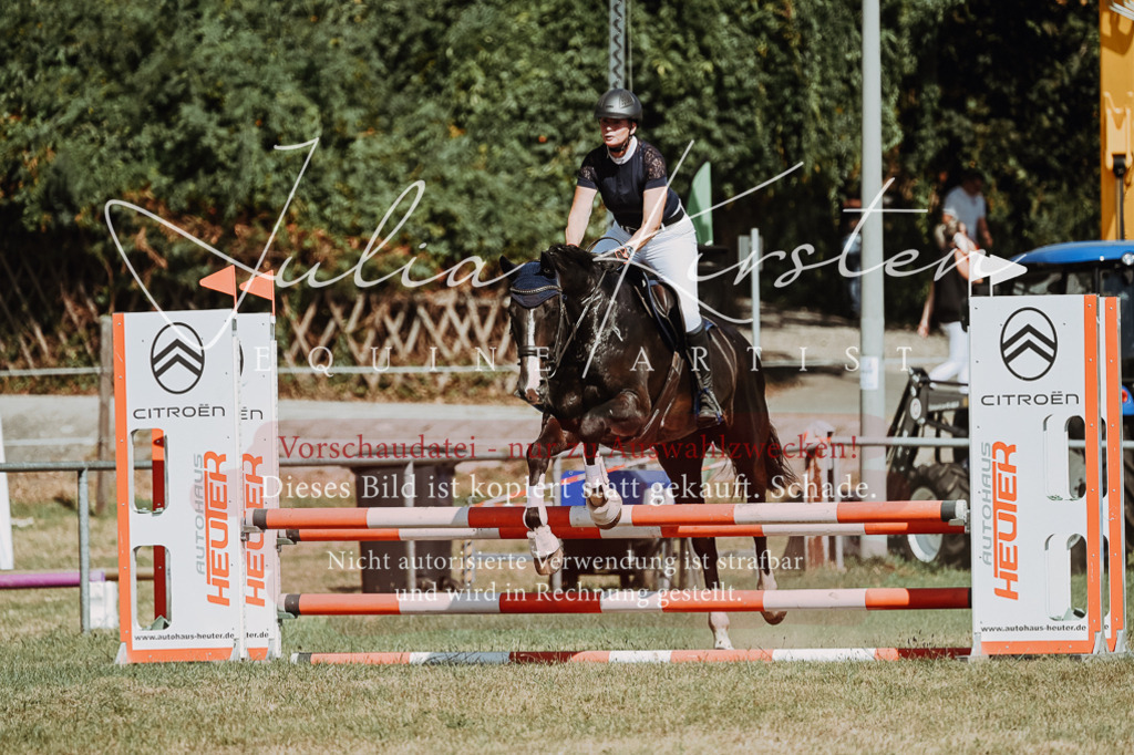 DSC_9871 | Pferde- und Turnierfotografie in Westsachsen. Pferdeportraits, Auftragszeichnungen und intuitive Kunst.