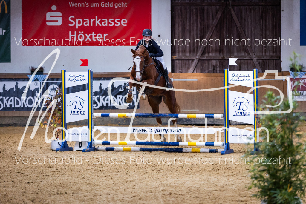 Sth-A-Springen-079 | MomenTaufnahmen Pferdesportfotos