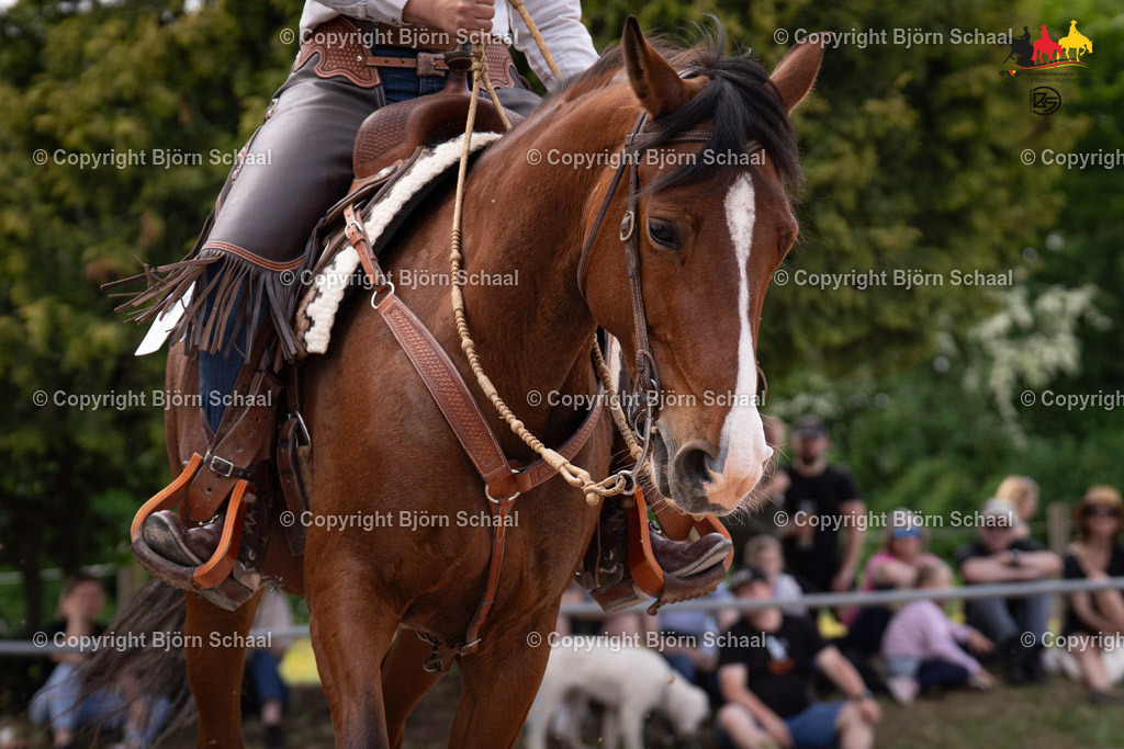 LMB09542 | BS-foto